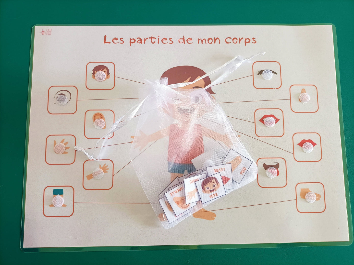 Parties du corps