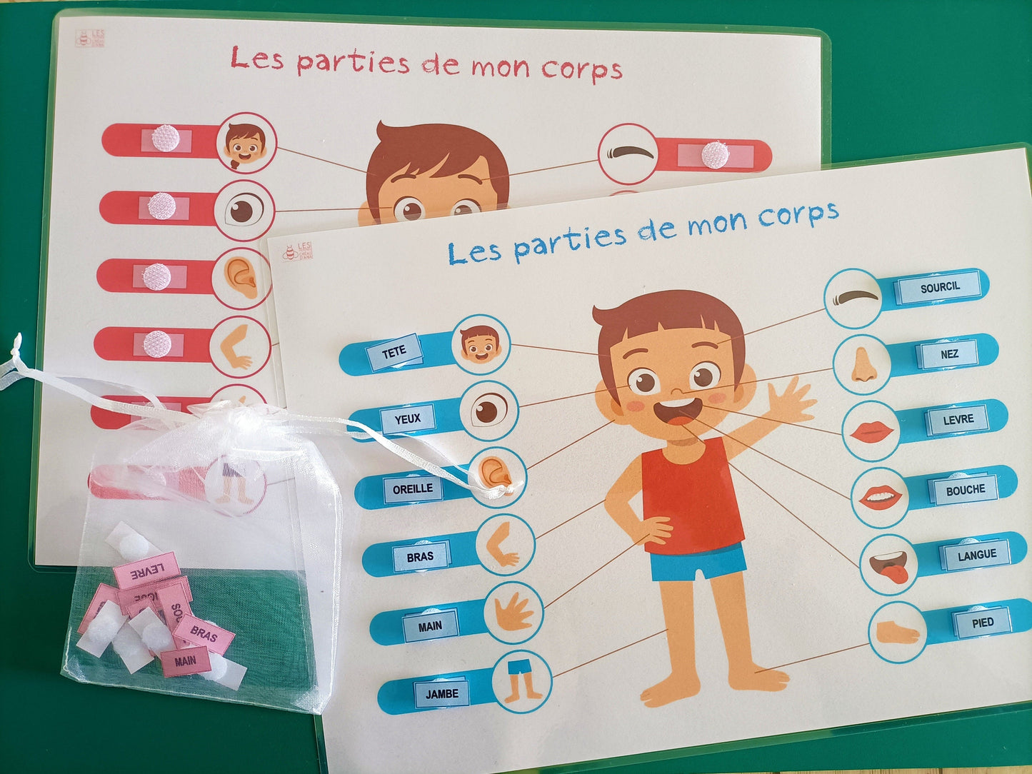 Parties du corps