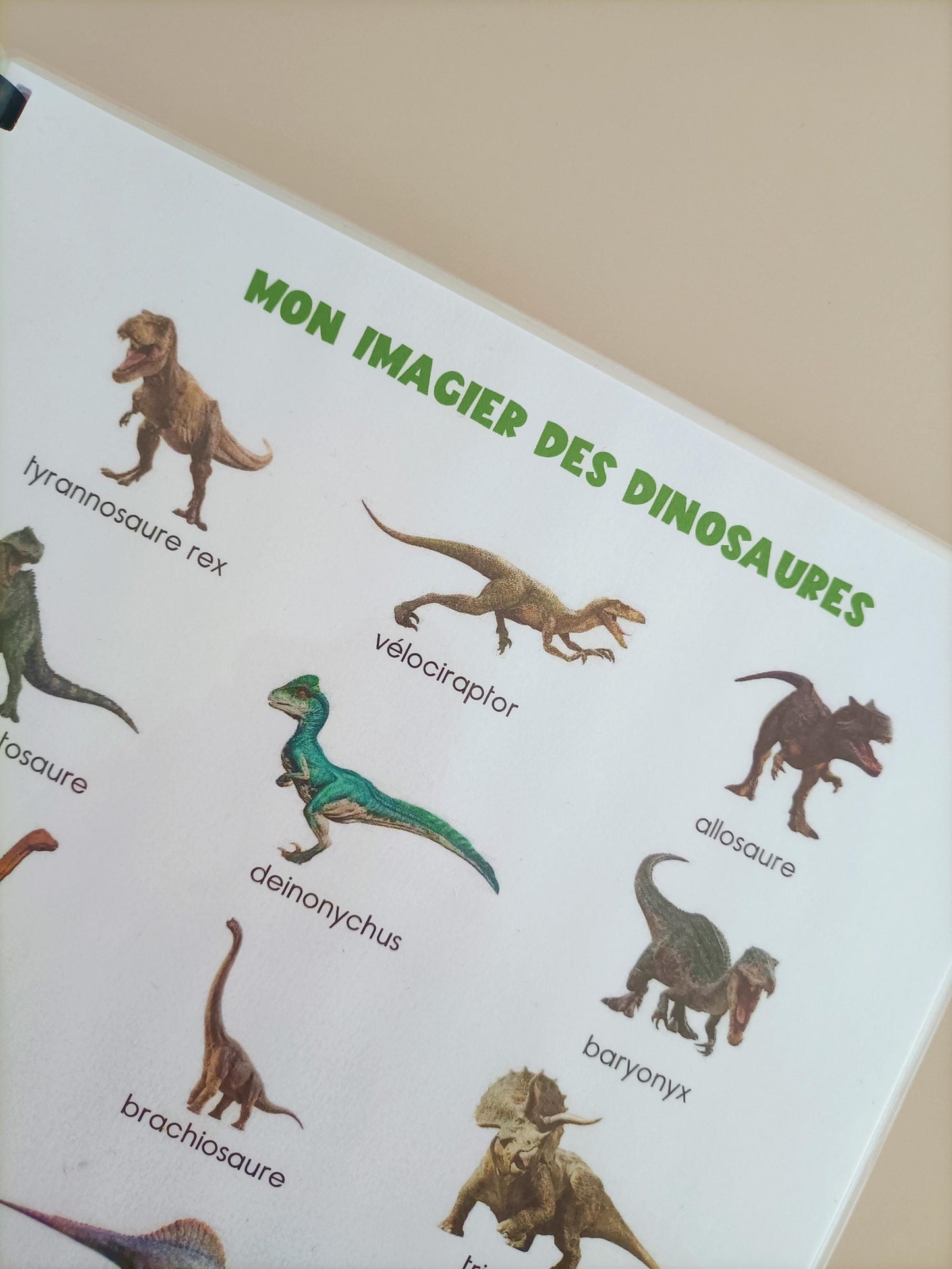 Livret - Dinosaures