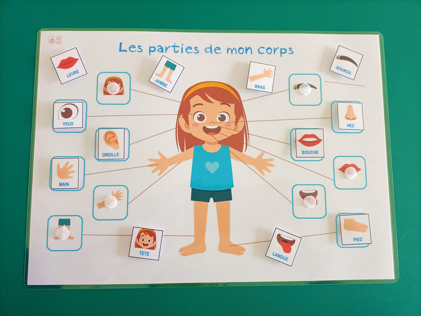 Parties du corps