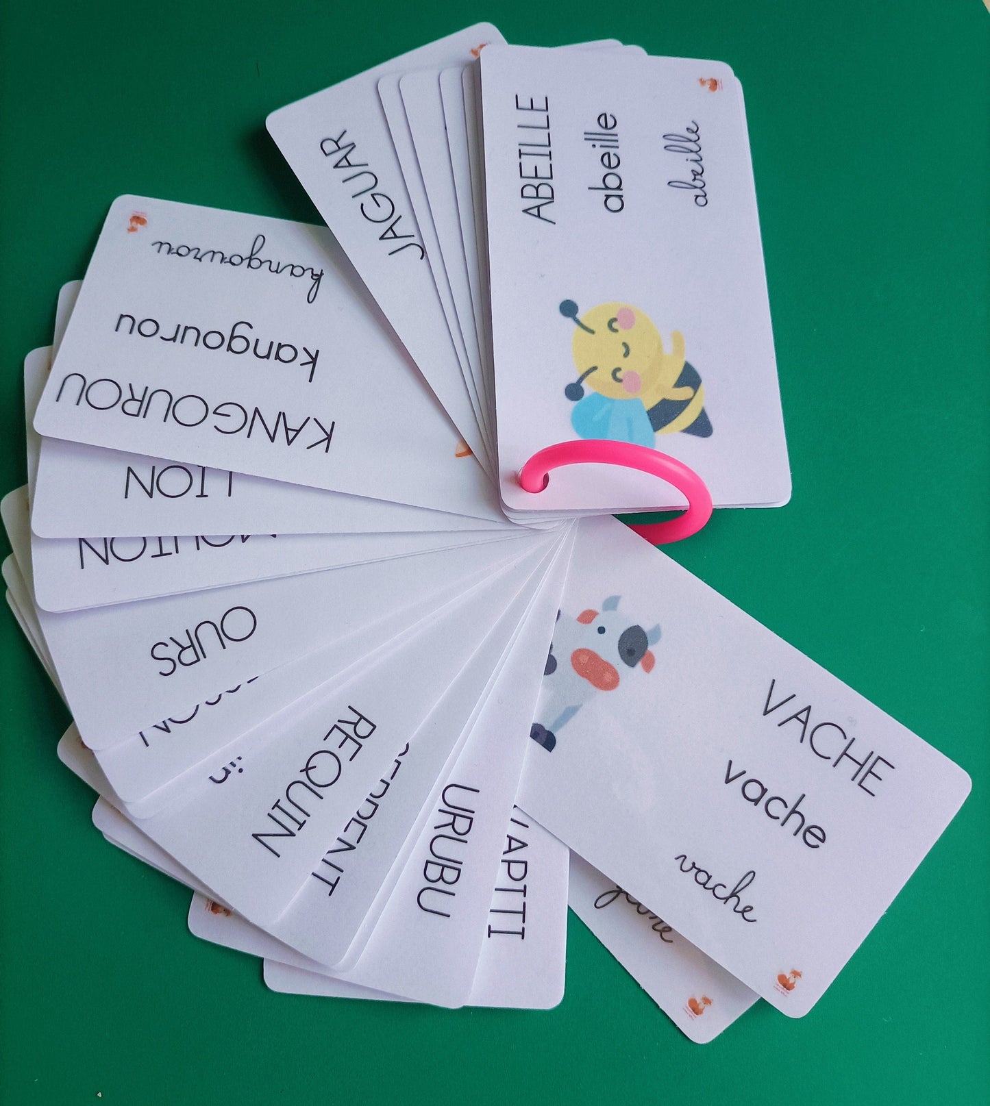 Nomenclature - ABC animaux