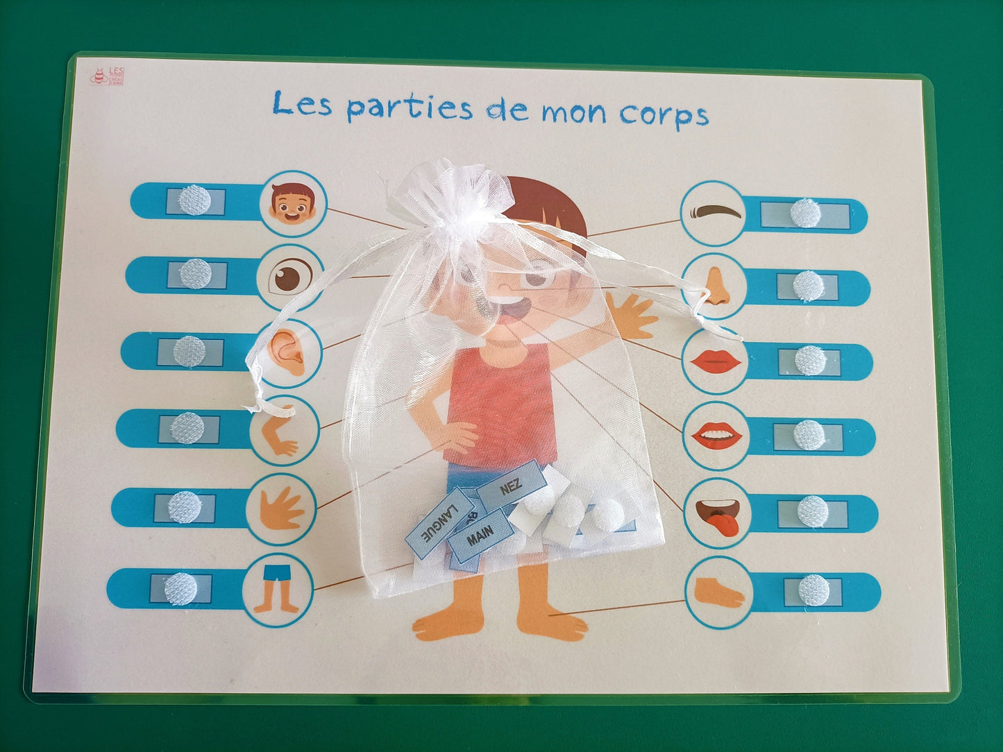 Parties du corps