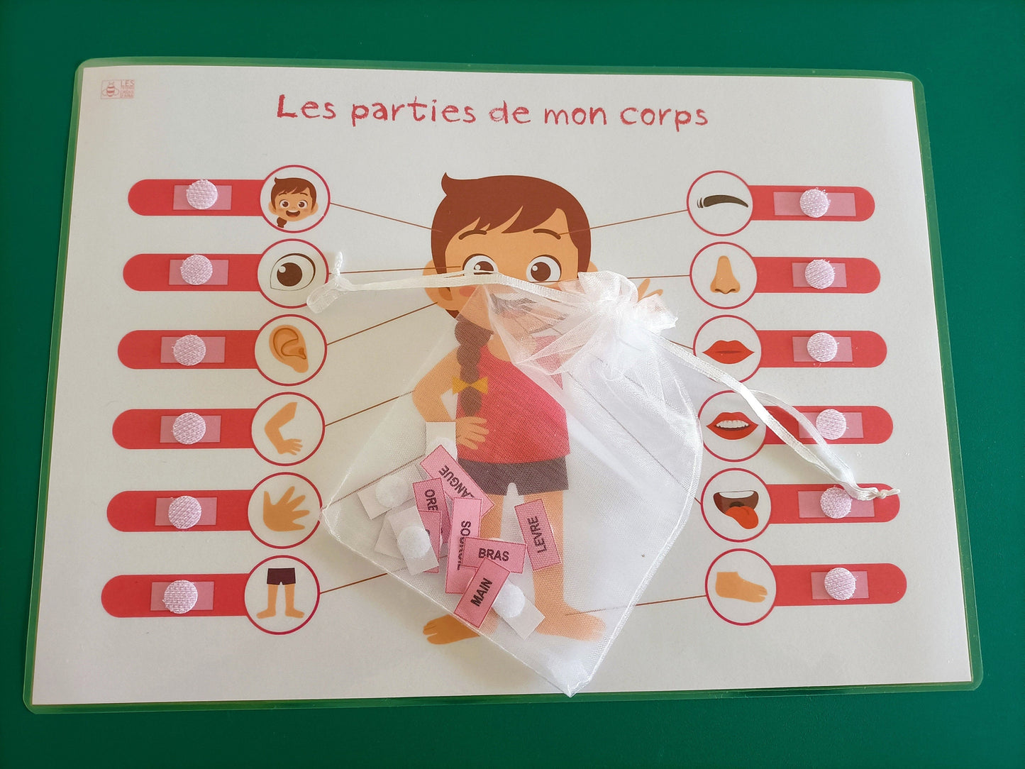 Parties du corps
