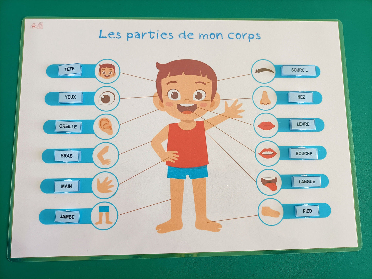 Parties du corps