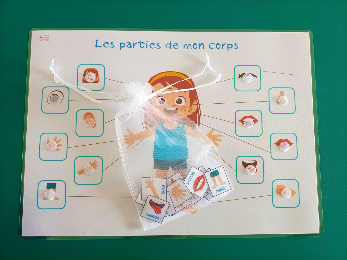 Parties du corps