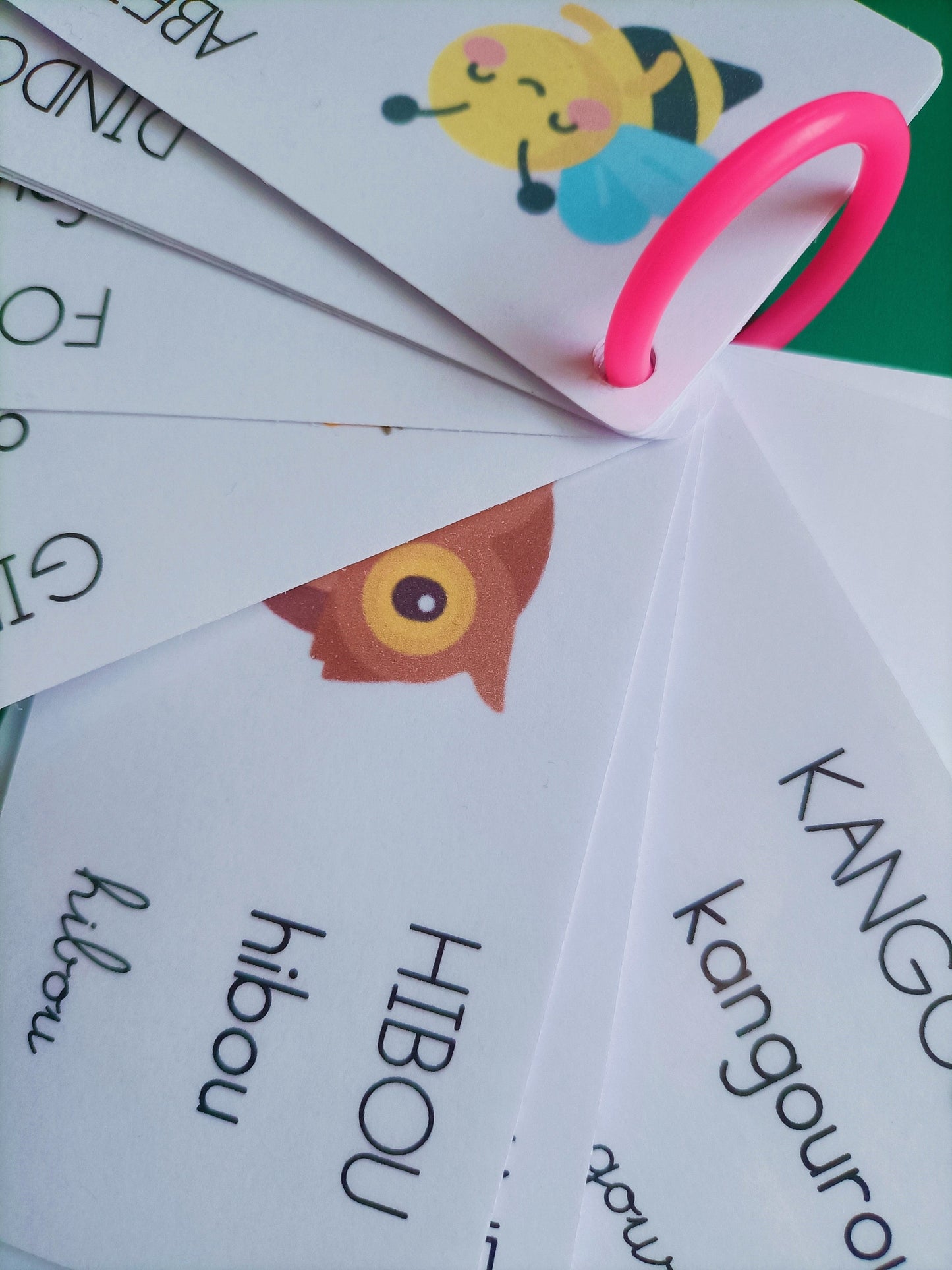 Nomenclature - ABC animaux