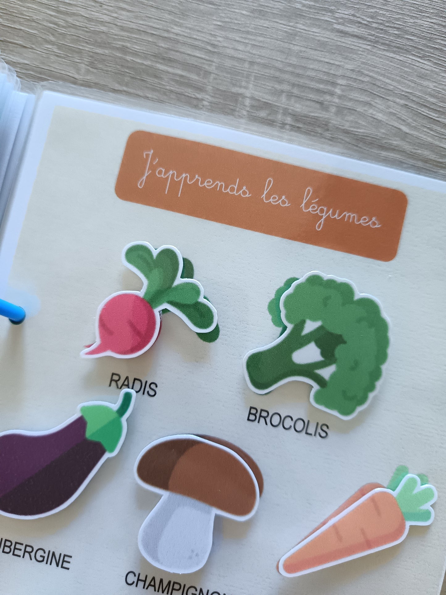 Mon livret d'apprentissage
