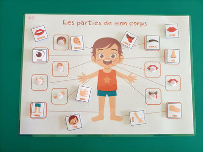 Parties du corps