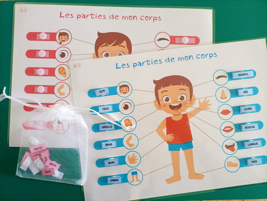 Parties du corps