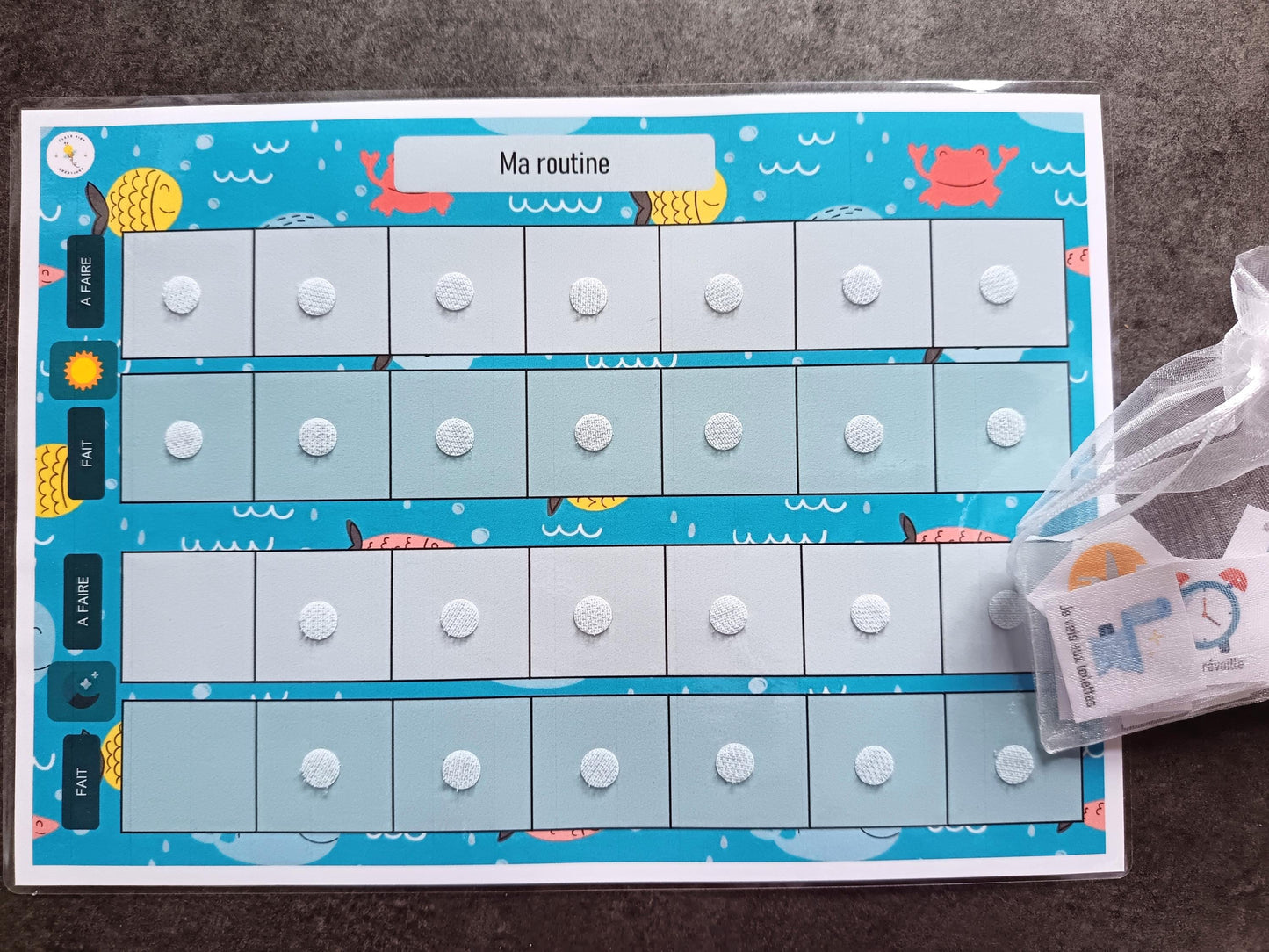 Routine quotidienne ( Ma routine )