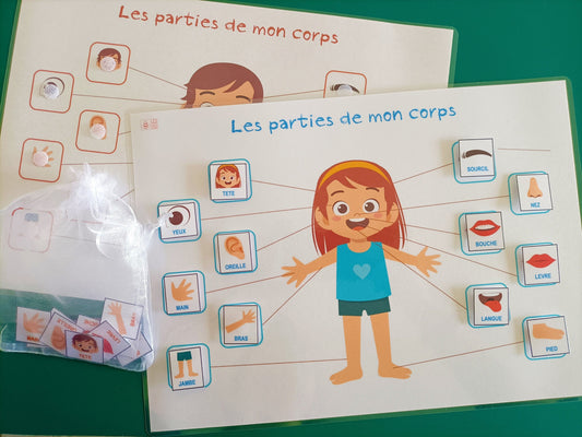 Parties du corps