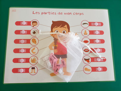 Parties du corps