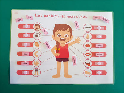 Parties du corps