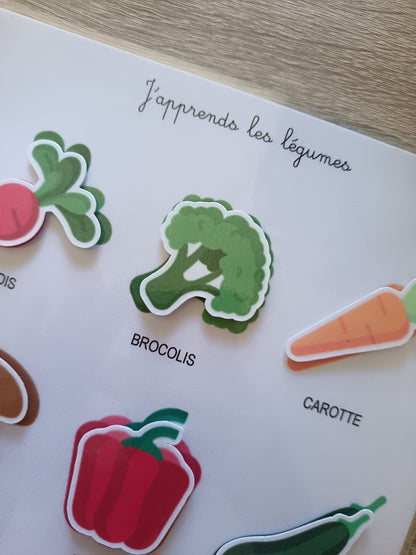 Mon livret d'apprentissage